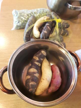 Chiloé gilt als eine mögliche Urheimat der Kartoffel. Entsprechend gross ist hier die Artenvielfalt.